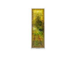 Memorial Bookmarkers - 2007 - Trees and Country Lane