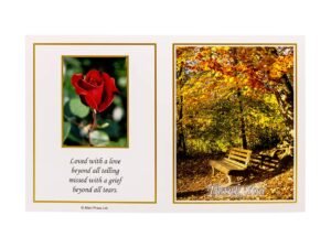 Allen Press-Memorial Thank You Cards-8M-Bench in Woodland-Outside Memorial Thank You Cards - 8M - Bench in Woodland